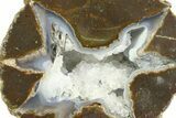 Colorful Polished Thunderegg Half - Nevada #337863-1